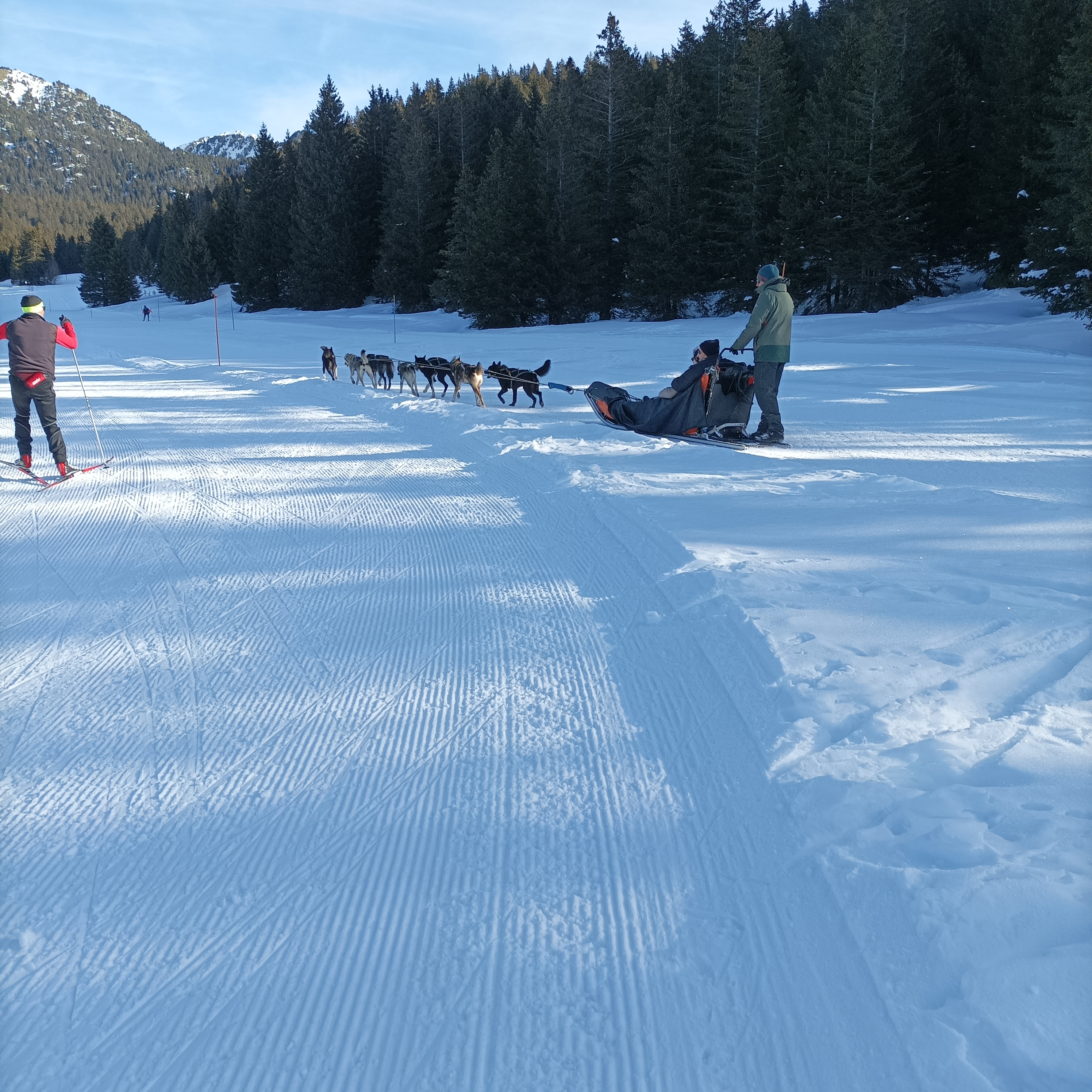 Photo n° 1 de l'avis de Rodolphe.o fait le 16/01/2022 à 21:06