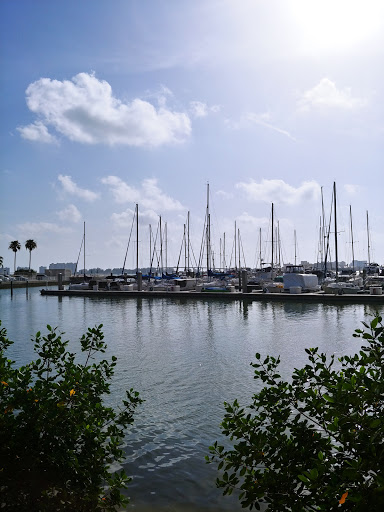 Park «Coachman Park», reviews and photos, 301 Drew St, Clearwater, FL 33755, USA