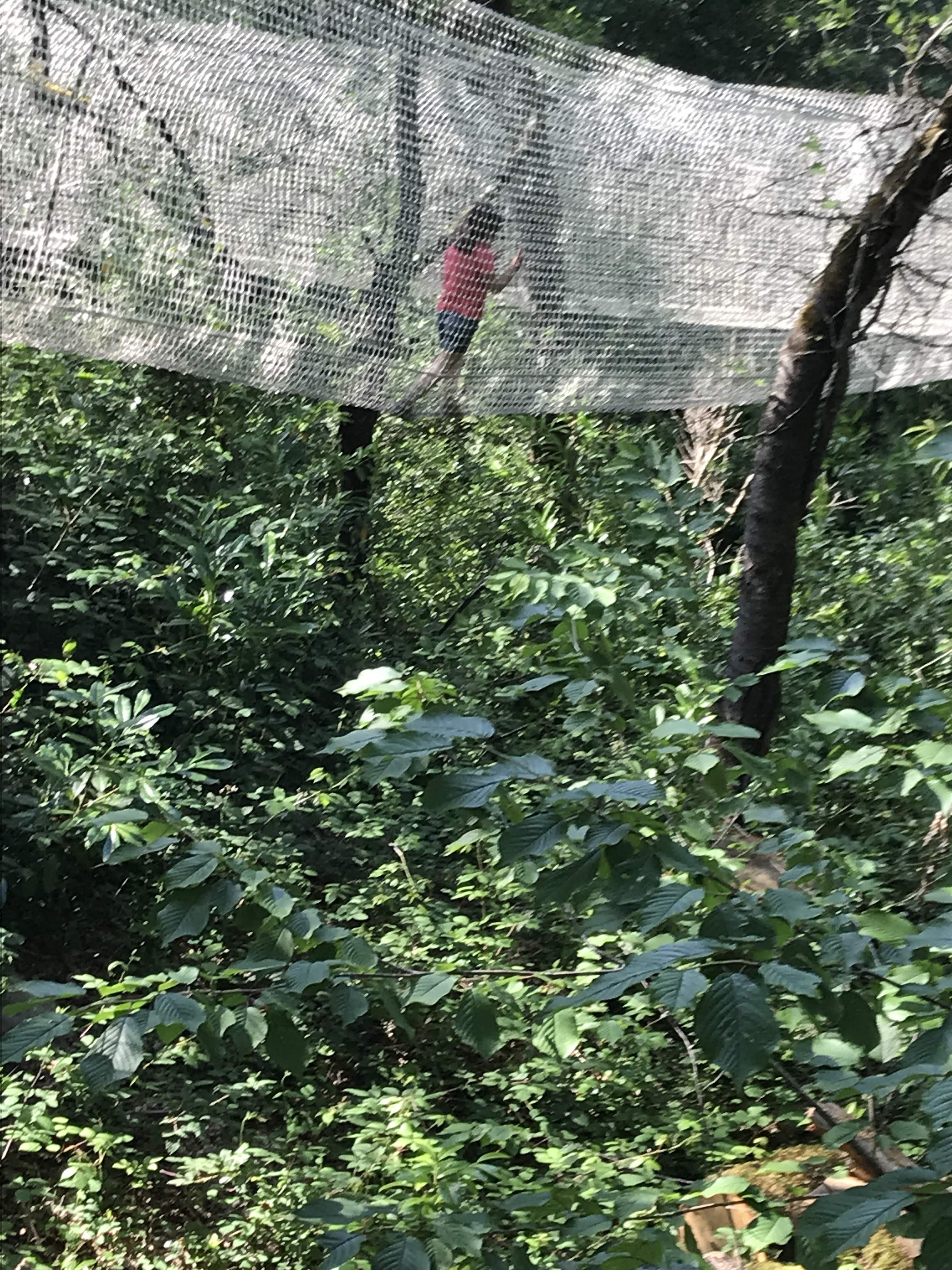 Photo n° 2 de l'avis de Ju.u fait le 28/07/2019 à 14:21