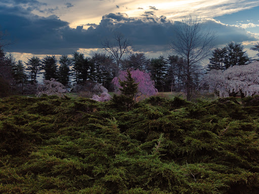 Park «Hart`s Brook Park and Preserve», reviews and photos, 156 Ridge Rd, Hartsdale, NY 10530, USA