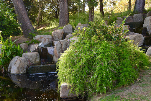 Cemetery «El Camino Memorial Park», reviews and photos, 5600 Carroll Canyon Rd, San Diego, CA 92121, USA