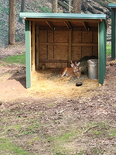 Camp «Howell Nature Center», reviews and photos, 1005 Triangle Lake Rd, Howell, MI 48843, USA