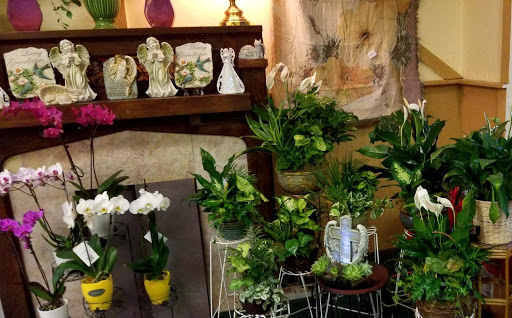 Florist «Sunshine Flowers», reviews and photos, 6230 Stumph Rd, Parma Heights, OH 44130, USA