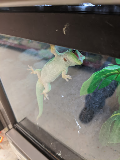 Pet Supply Store «Petco Animal Supplies», reviews and photos, 1207 S Caraway Rd, Jonesboro, AR 72401, USA