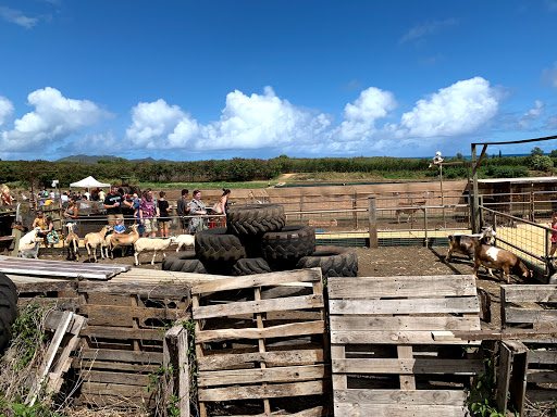 Farms for sale Honolulu