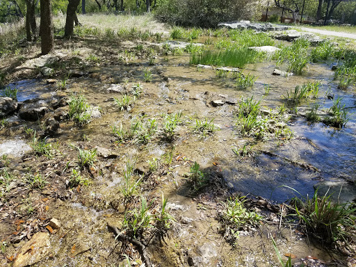 Golf Club «Canyon Springs Golf Club», reviews and photos, 24405 Wilderness Oak, San Antonio, TX 78260, USA