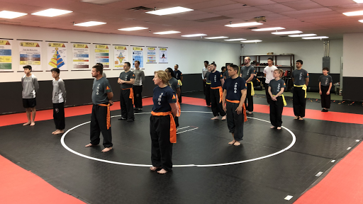 Kung fu lessons Cincinnati