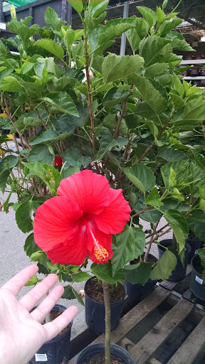 Home Improvement Store «Menards», reviews and photos, 320 Tyler Rd S, Red Wing, MN 55066, USA