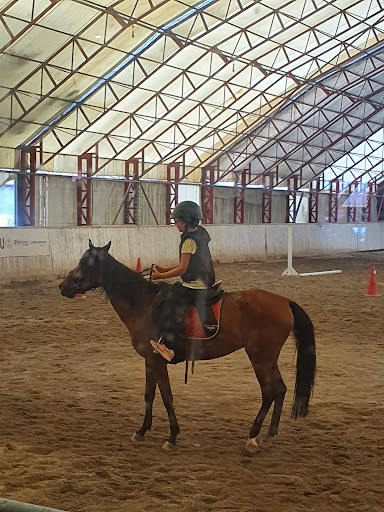 Istanbul Equestrian Club Association