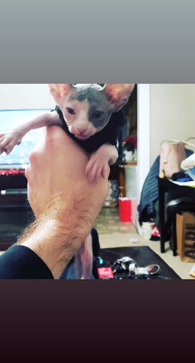 Explore horizon zero dawn tattoo ideas, creative tattoo ideas in Plymouth, available at Twisted Ink LLC