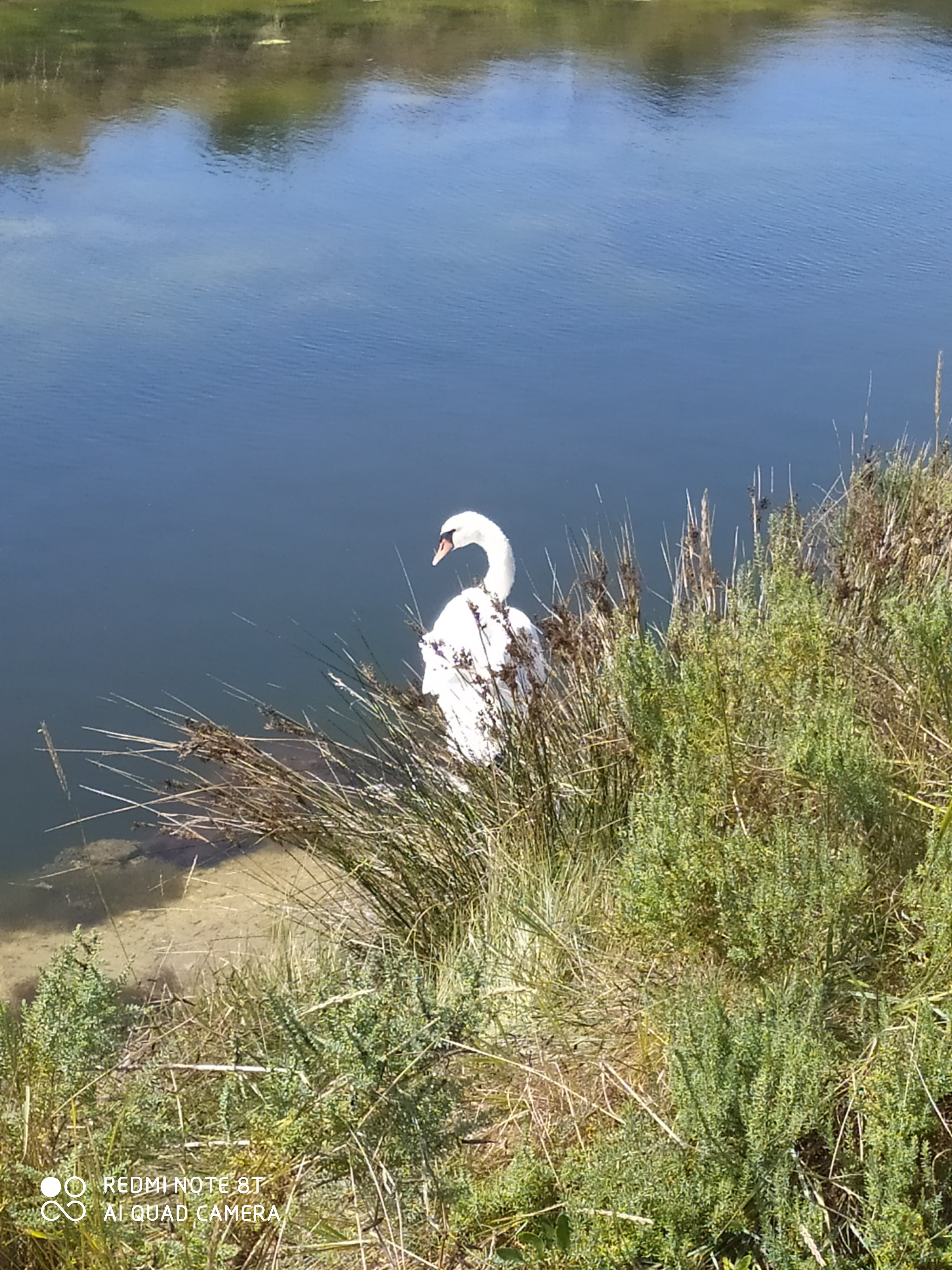 Photo n° 2 de l'avis de sandra.a fait le 19/08/2020 à 19:50