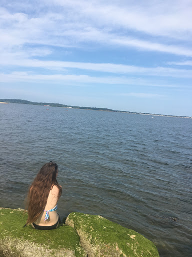 Park «Morse Park», reviews and photos, Morse Ave, West Haven, CT 06516, USA