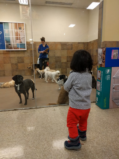 Pet Supply Store «PetSmart», reviews and photos, 2440 E Charleston Rd, Mountain View, CA 94043, USA