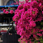 Photo n°4 de l'avis de C. fait le 26/04/2023 à 16:21 sur le  Carmo rooftop à Lisbon