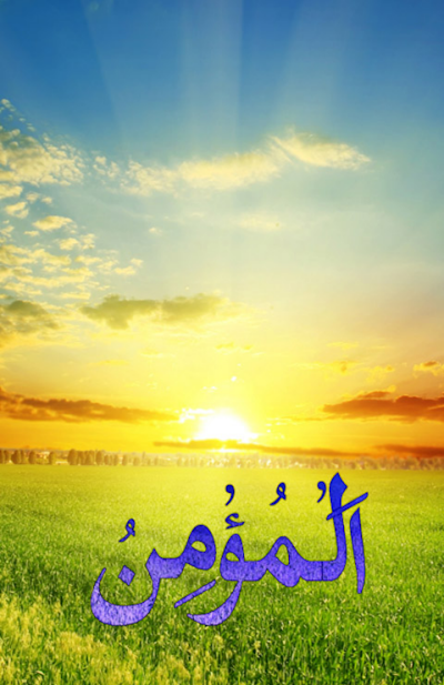 Photos of تل الورد