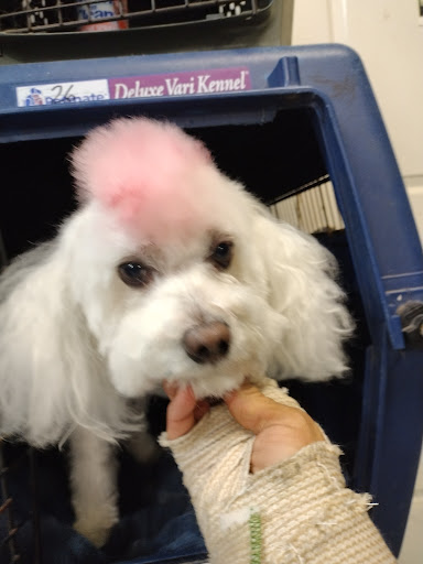 Pet Supply Store «The Dog House», reviews and photos, 4237 S Alameda St, Corpus Christi, TX 78412, USA