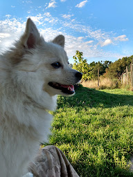 Photo n°5 de le chenil du lonlay l'abbaye à Lonlay-l'Abbaye ()