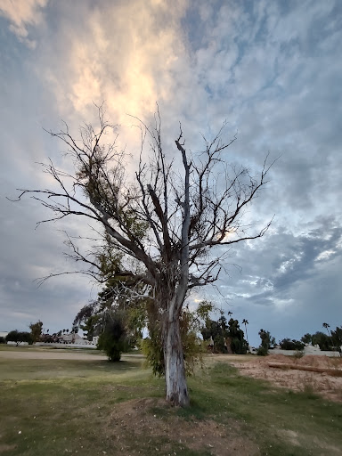 Golf Course «Coronado Golf Course», reviews and photos, 2829 N Miller Rd, Scottsdale, AZ 85257, USA