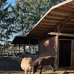 Photo n°4 de l'avis de carbilliejoe80. fait le 18/12/2023 à 16:37 sur le  Agriturismo Fattoria Pasqué à Casale Litta