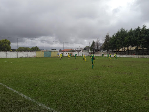 Estádio Elba de Pádua Lima - Grêmio Recreativo Ipiranga