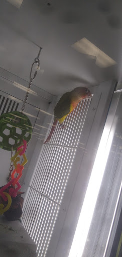 Pet Supply Store «Petco Animal Supplies», reviews and photos, 4209 Wheaton Way, Bremerton, WA 98310, USA