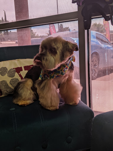 Pet Groomer «Glamour Pooch / Grooming Boutique», reviews and photos, 1590 Lomaland Dr, El Paso, TX 79935, USA