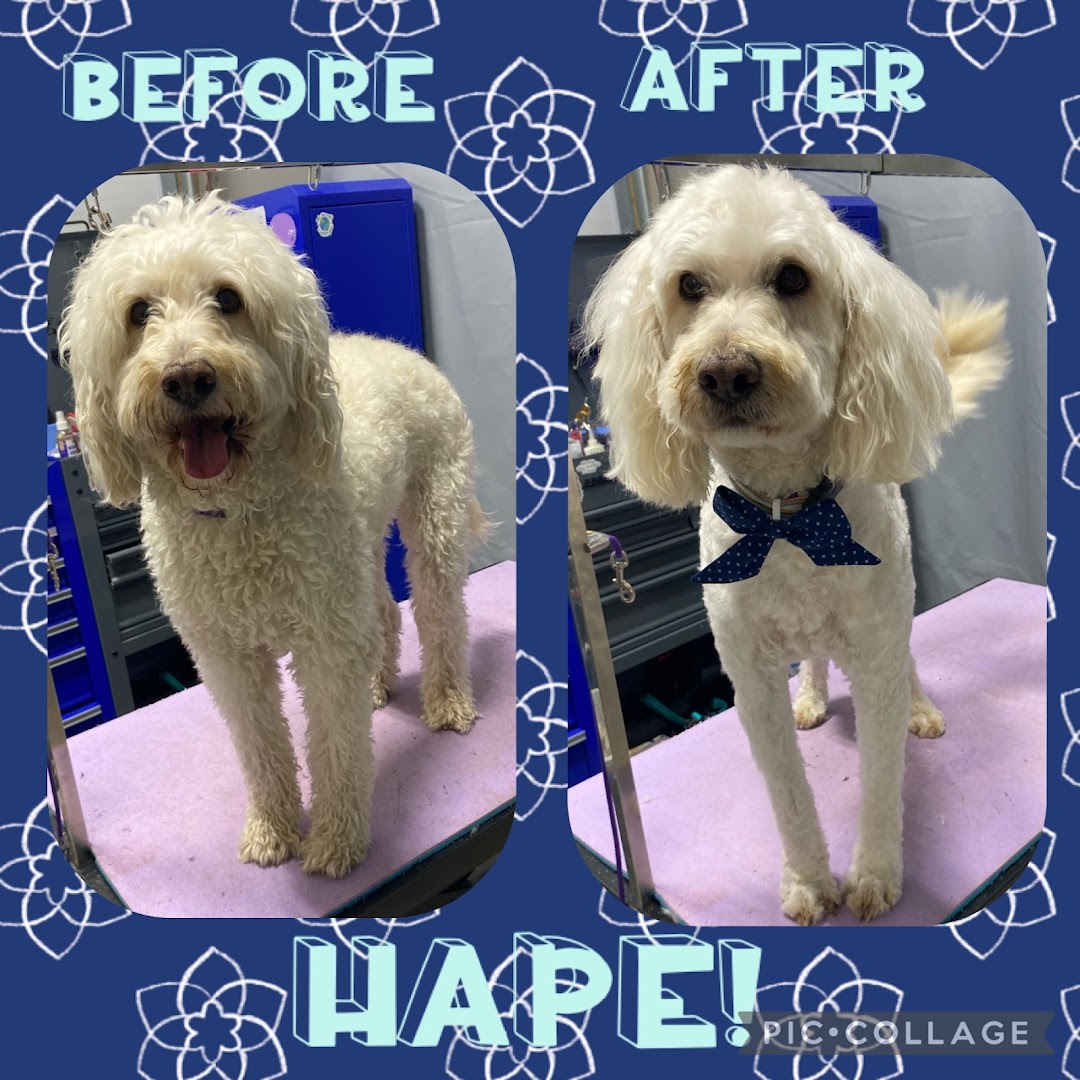 Metal Roof Grooming LLC