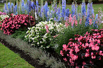 DC2 Landscaping & Irrigation Services - Photo 2 - Car repair in Highlands Ranch, CO, Lakewood