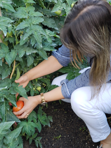 Health Food Store «Vineyard Grocer», reviews and photos, 294 State Rd, Vineyard Haven, MA 02568, USA