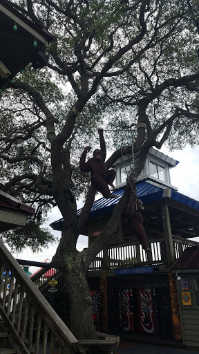 Tourist Attraction «Coconut Creek Family Fun Park», reviews and photos, 9807 Front Beach Rd, Panama City Beach, FL 32407, USA