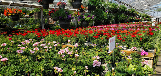 Garden Center «Woodland Gardens», reviews and photos, 168 Woodland St, Manchester, CT 06042, USA