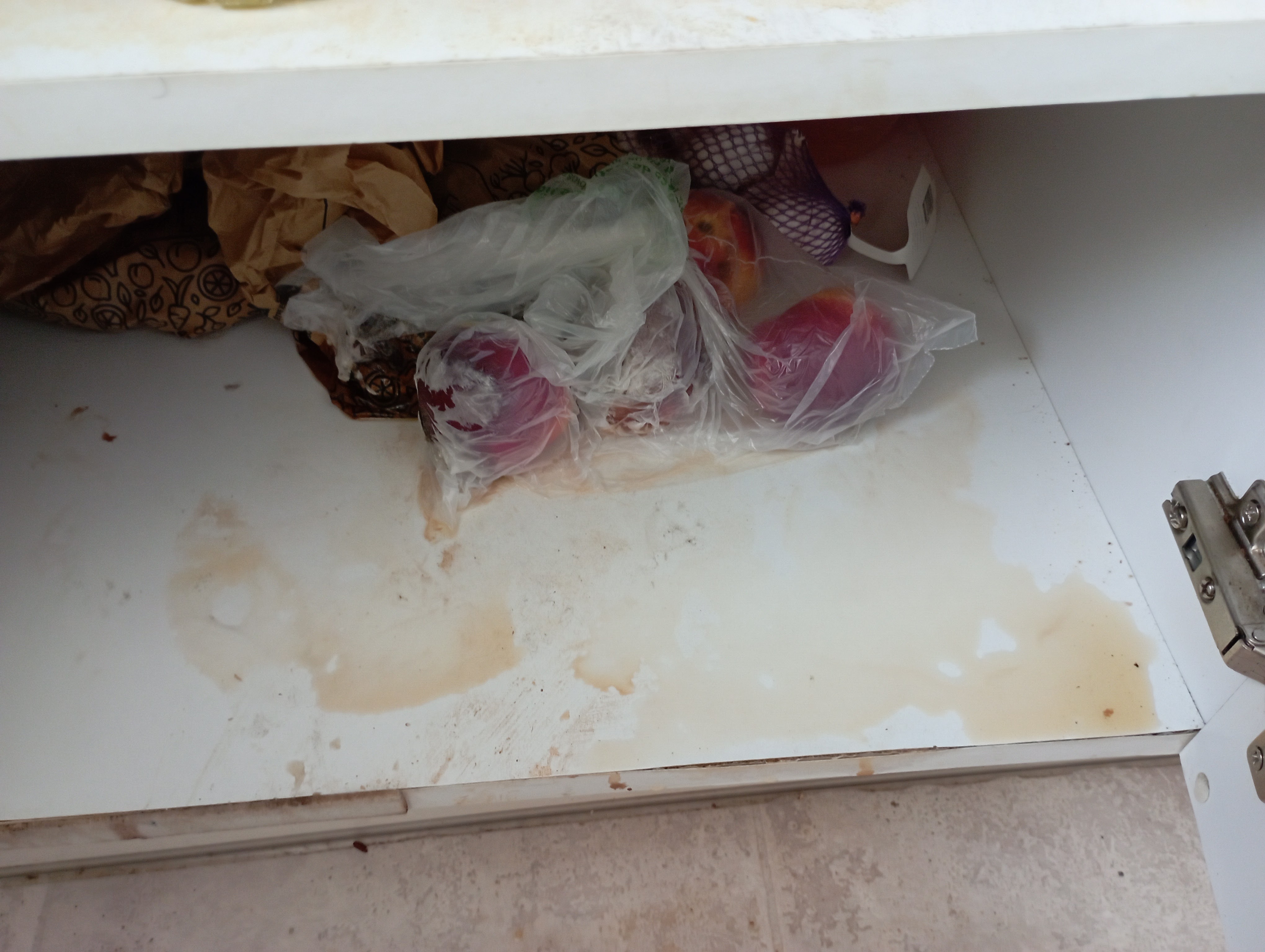 Photo n° 4 de l'avis de Hélène.i fait le 23/12/2022 à 13:33