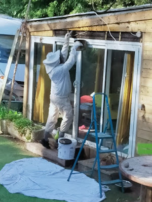 GFA SOS Frelons - Golfe de St Tropez - Extermination nuisibles à Grimaud