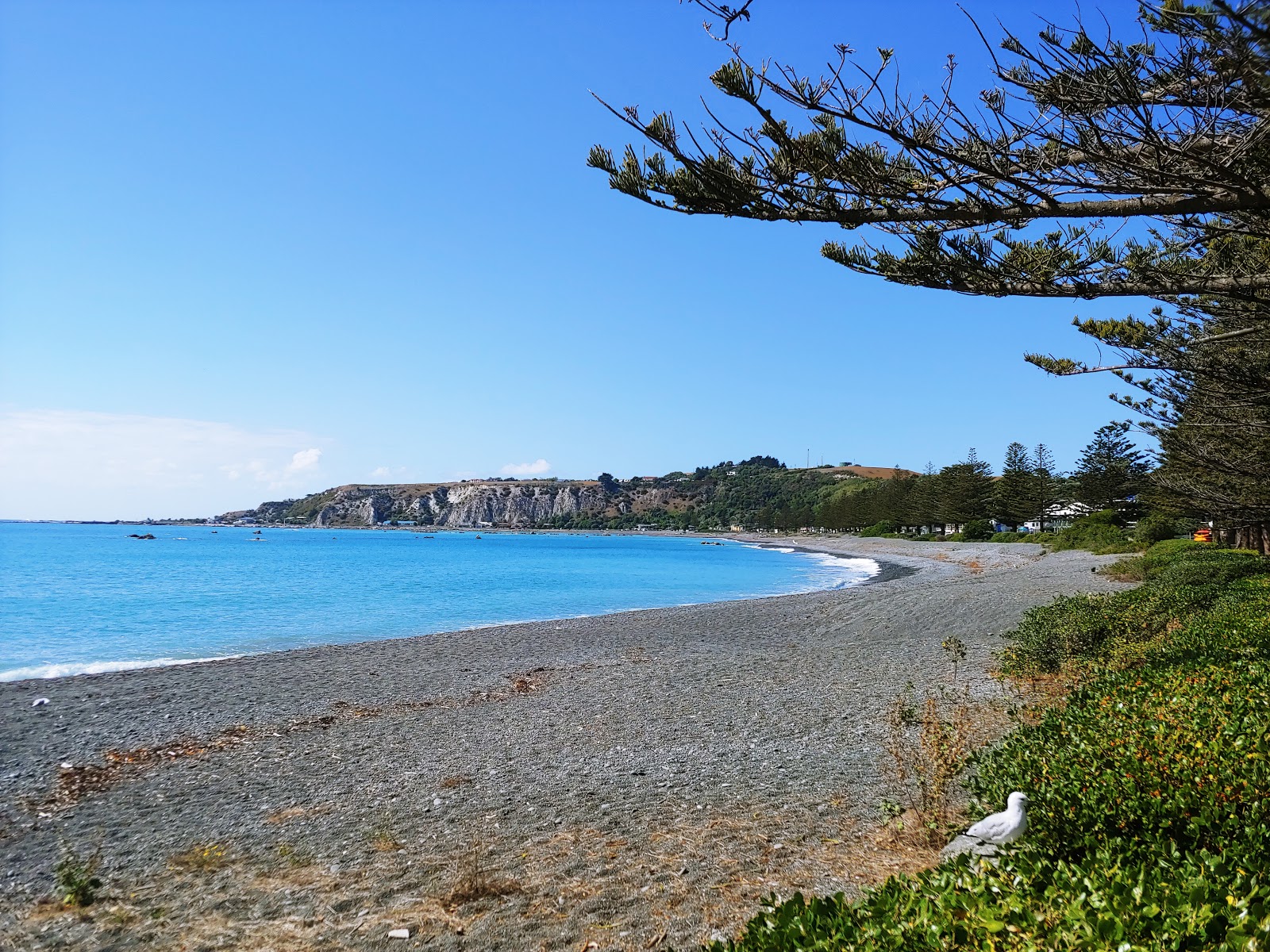 Foto van Kaikoura Beach met turquoise puur water oppervlakte