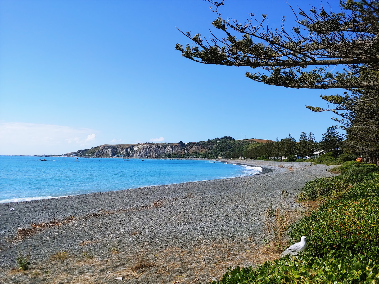 Foto von Kaikoura Beach mit lange, gerade küste
