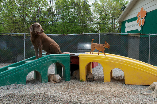 Kentucky Humane Society Fern Creek Pet Resort