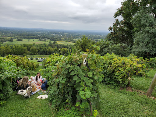 Winery «Bluemont Vineyard», reviews and photos, 18755 Foggy Bottom Rd, Bluemont, VA 20135, USA