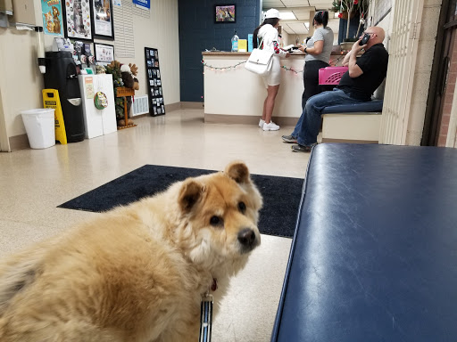 Flamingo Pet Clinic image