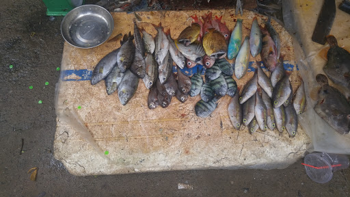 Top 20 cửa hàng akemi Huyện Lý Sơn Quảng Ngãi 2022