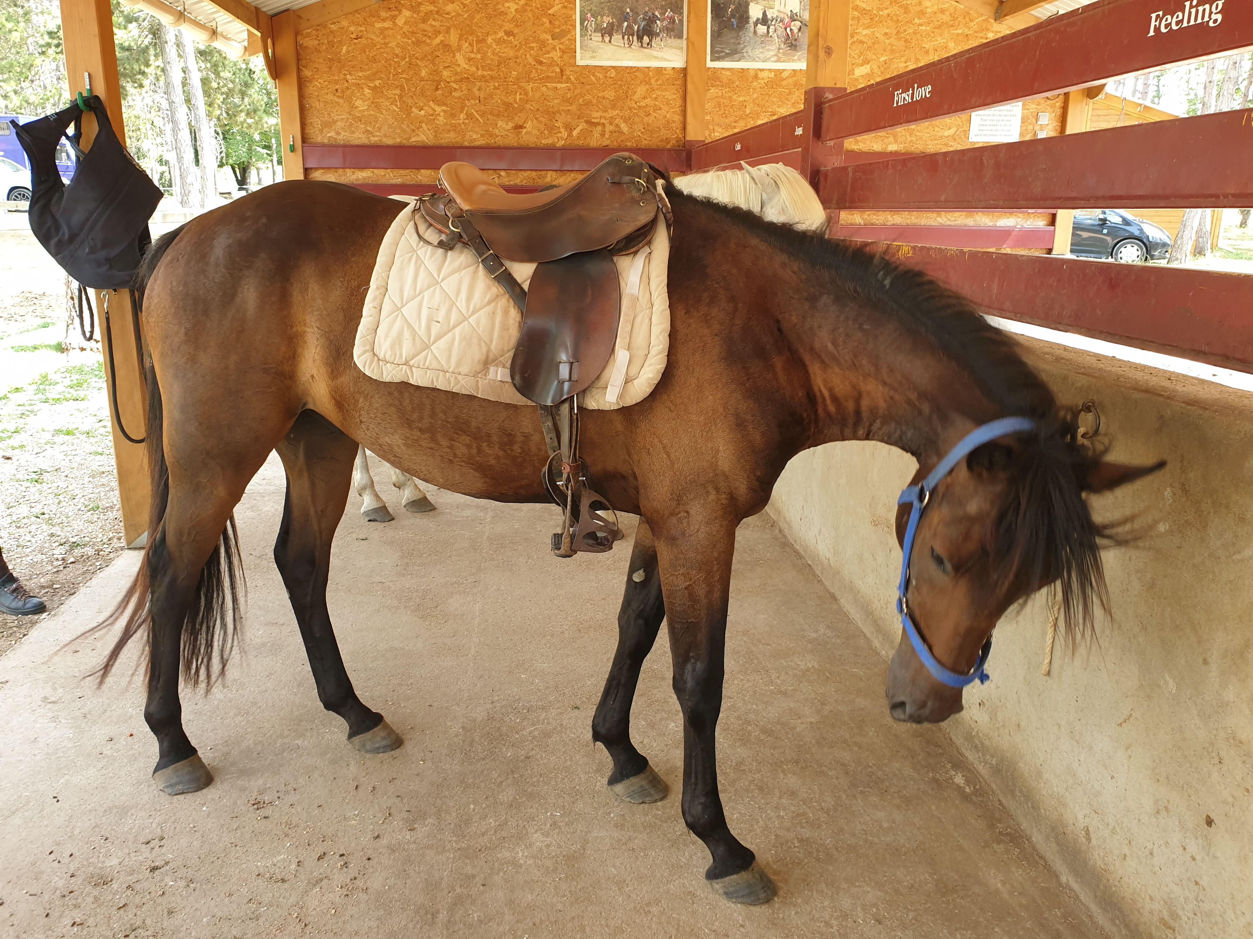 Photo n° 6 de l'avis de Agnès.h fait le 26/07/2020 à 17:16