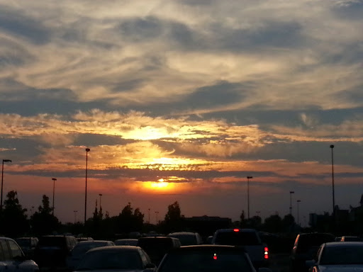 Discount Store «Gordmans - Store Closing Soon», reviews and photos, 214 Gable Crossing Dr, Avon, IN 46123, USA