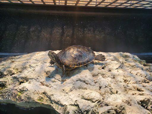 Pet Supply Store «Petco Animal Supplies», reviews and photos, 7303 Pinnacle Pkwy, Covington, LA 70433, USA