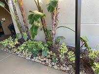 Palmera Landscaping Fl - Photo 3 - Car repair in Tampa, FL, Clearwater