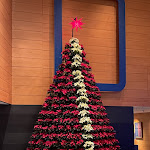 Photo n°10 de l'avis de Michael.a fait le 11/12/2021 à 19:42 sur le  Grand Hyatt Berlin à Berlin