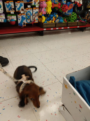 Pet Supply Store «Petco Animal Supplies», reviews and photos, 1524 Old Country Rd, Riverhead, NY 11901, USA