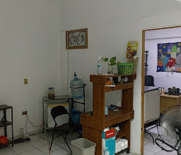 LA MASCOTA VETERINARIA photo