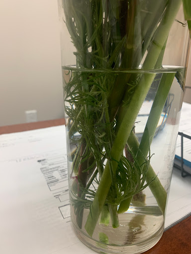 Florist «Pretty Petals Floral Boutique», reviews and photos, 2932 Hillcrest Dr, San Antonio, TX 78201, USA