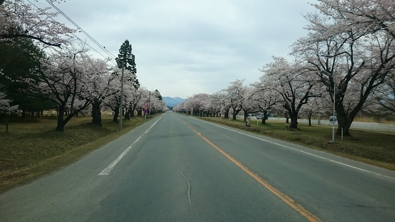 神町観光果樹園 山形県東根市若木通り 果樹園 飲食店 グルコミ