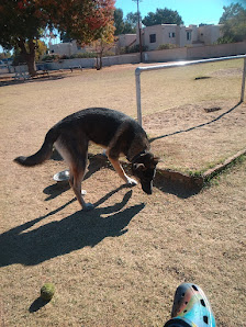Photo 2 de Pomelo Dog Park from Latest