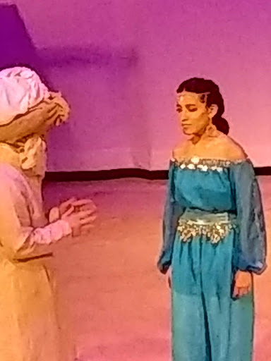 Performing Arts Theater «The Arts Center of Cannon County», reviews and photos, 1424 John Bragg Hwy, Woodbury, TN 37190, USA